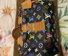 Louis Vuitton Speedy 30