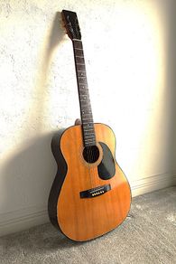 Acoustic guitar (Concertor)