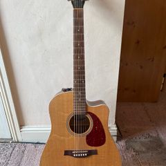 Seagull Acoustic Guitar