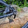 Trek Marlin 4 XL 29" wheels Image 2