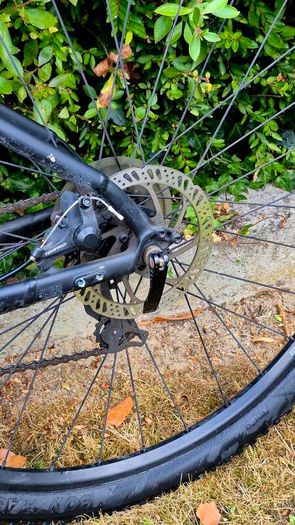 Trek Marlin 4 XL 29" wheels