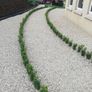 Box Hedging Image 10