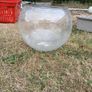 fishbowl Image 2
