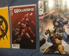 Wolverine 2020 Lot