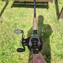 daiwa Image 2