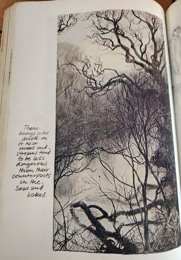Vintage 1979 Faeries Book - Alan Lee Cover Variant (Pan Books First Printing)