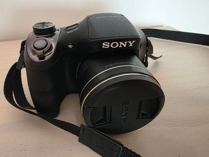 Sony Dsc-h300