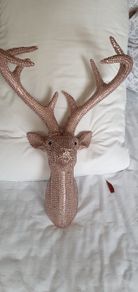 stag head