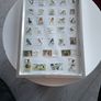 Framed Birds  of Ireland Stamp Collection Image 3