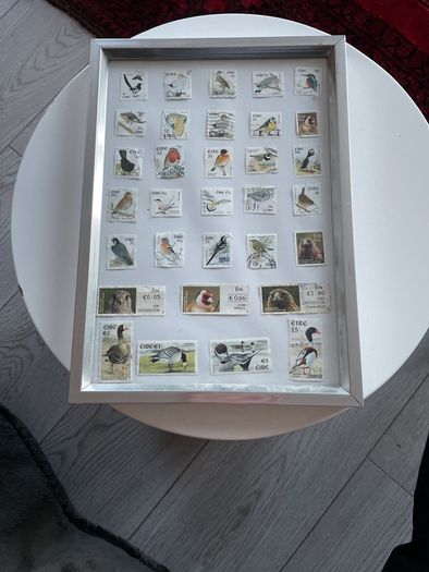Framed Birds  of Ireland Stamp Collection