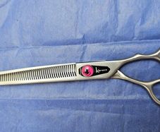 dog grooming scissors
