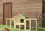 Large Chicken Coop