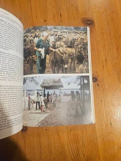 A Passion For Donkeys. By Dr Elizabeth D. Sevendsen. Large Volume Paperback In Good Condition.  See Photos For Same.