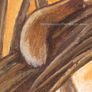 Tarot Card Image 4