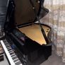 Digital Baby Grand Piano Image 7