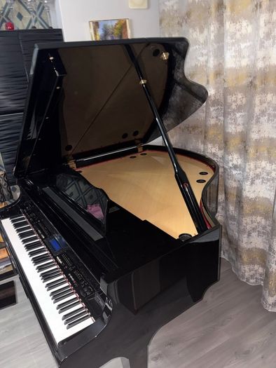 Digital Baby Grand Piano