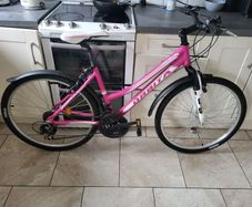 Mountain bike (LIKE NEW)