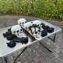 Skulls and Spiders Job Lot. Image 2