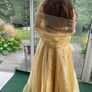 Designer Gold long dress Image 4