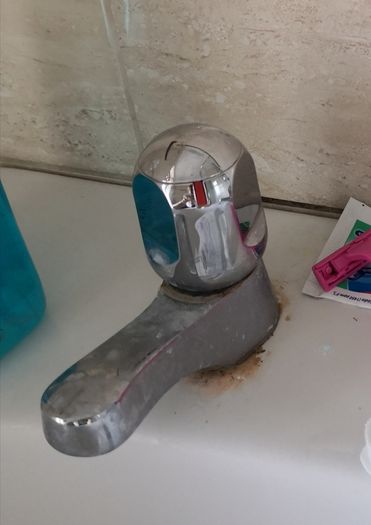Cleaning / Disinfection / High Standard
