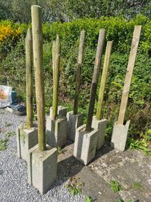 Fence Posts/  Dog Pound.
