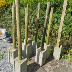 Fence Posts/  Dog Pound.