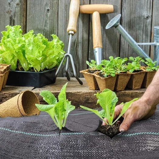 Polytunnel Weed Control Fabric Mypex 135g-2.2m 50m