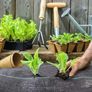 Polytunnel Weed Control Fabric Mypex 135g-2.2m 50m Image 4