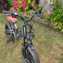 Janso X50 elecrtic bike Image 3