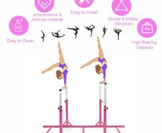 Double gymnastics bars
