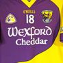 2006 Wexford Gaa Jersey Size Small Image 2