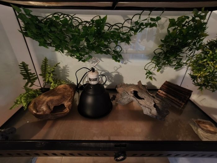 terarium
