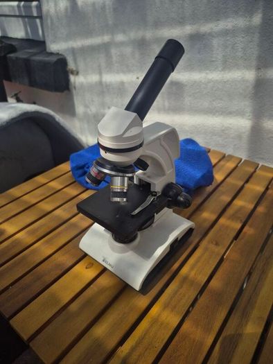 microscope