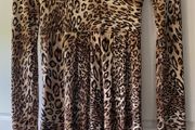 Leopard Print Dress