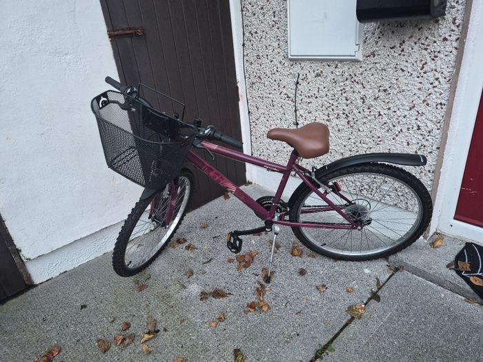 Apollo Twilight ladies bike with basket