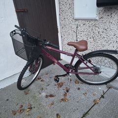Apollo Twilight ladies bike with basket