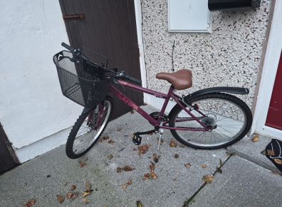 Apollo Twilight ladies bike with basket