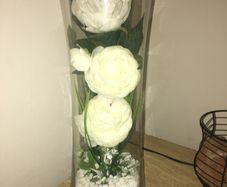 Roses in vase