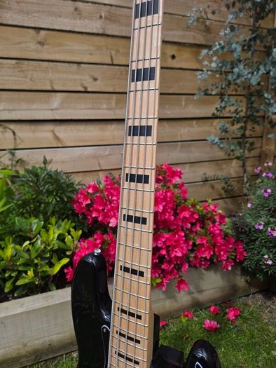Squier Active Jazz Bass 5 String