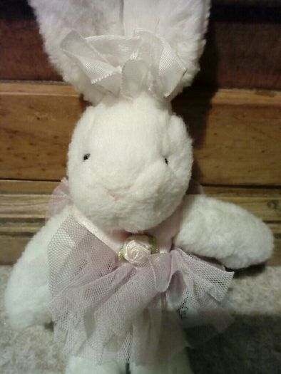Bunny teddy