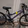 20" Carrera Saruna Jnr 7 Image 2