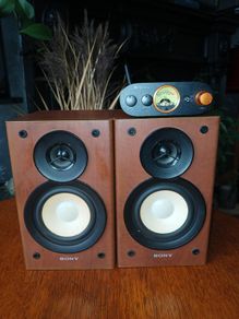 Mini Amplifier  Bluetooth