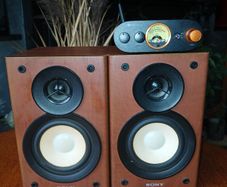 Mini Amplifier  Bluetooth
