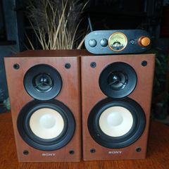 Mini Amplifier  Bluetooth