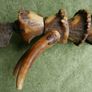Vintage late 19th century Scottish novelty antler handled knife and fork , modelled as a deer with a face and brass tail, with a steel blade Image 3