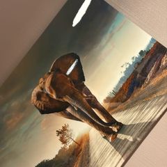 large Photo