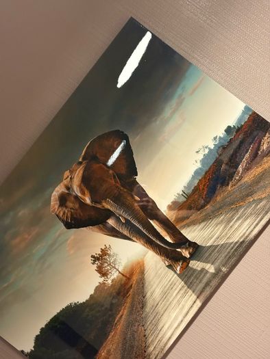 large Photo