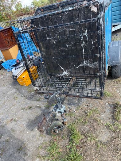 dog trailer
