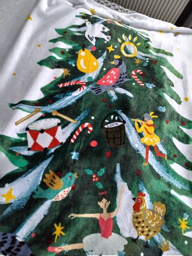 Catherine Lansfield Christmas Winter Fleece Throws