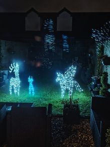 Christmas lights price reduced